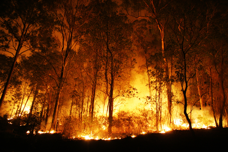 A bushfire burning orange and red at night